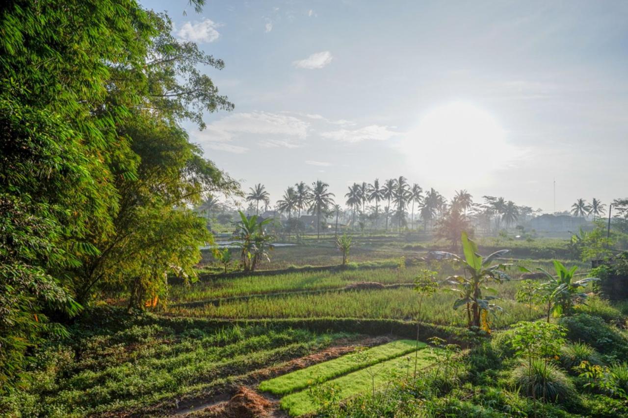Hotel Reddoorz Syariah At Omah Sawah Balong  Zewnętrze zdjęcie